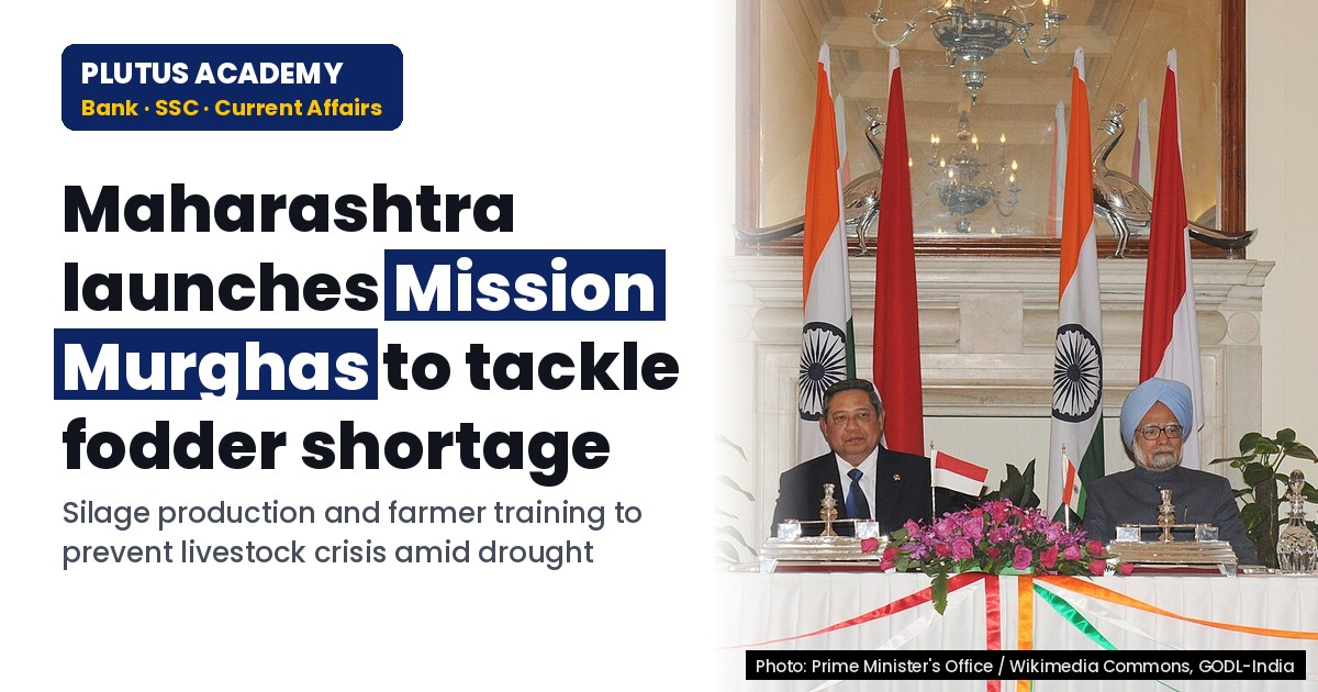 Maharashtra’s Mission Murghas: Silage Mission to Tackle Fodder Shortage